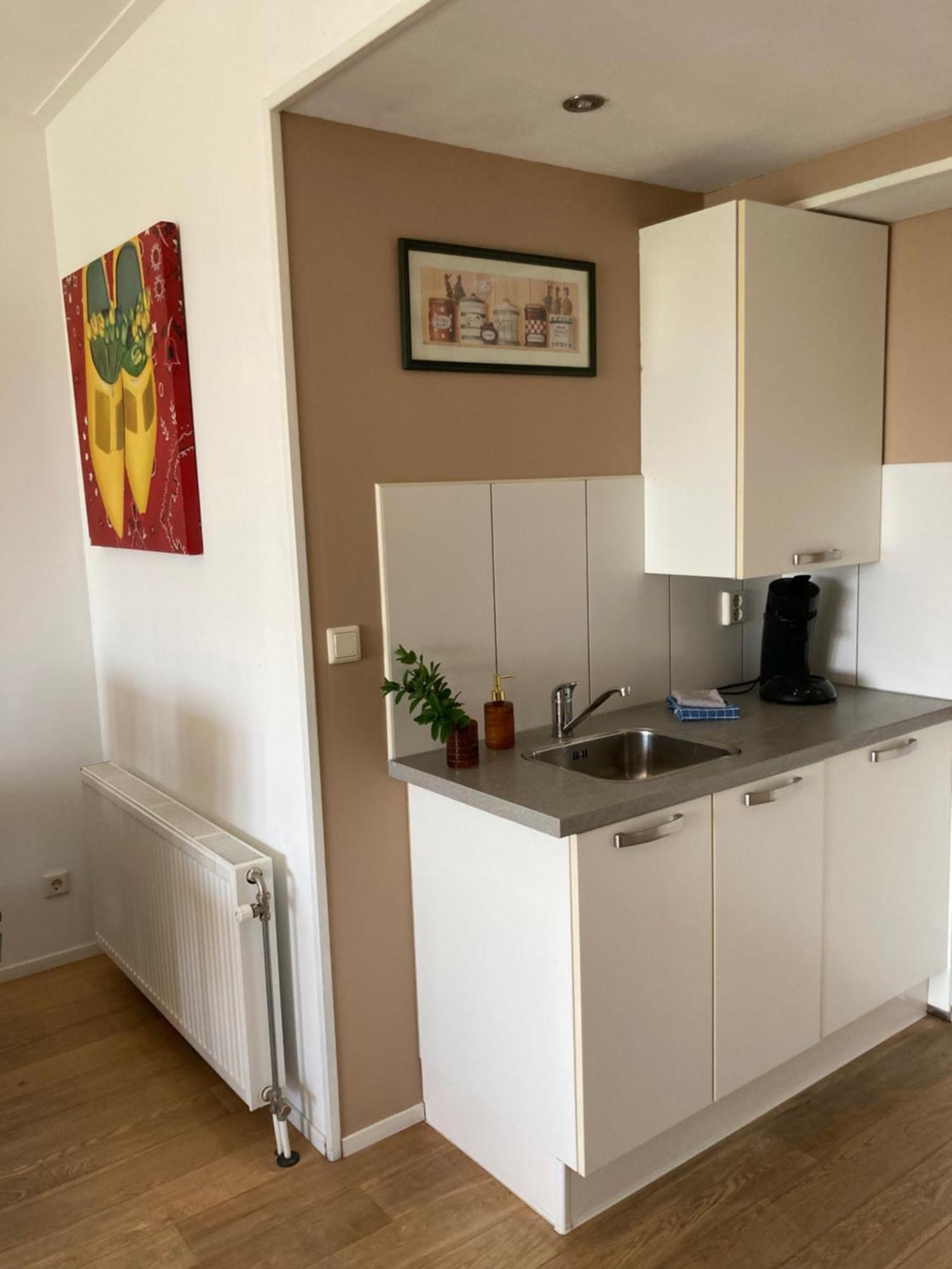 Tulpenzicht Villa De Zilk Bagian luar foto